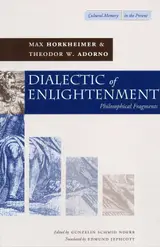 Dialectic of Enlightenment: Philosophical Fragments (Cultural Memory in the Present) (English Edition) baixar livro de graça