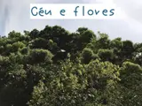 Céu e flores baixar livro de graça