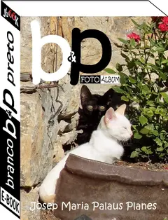 B & P (imagens) ler e baixar